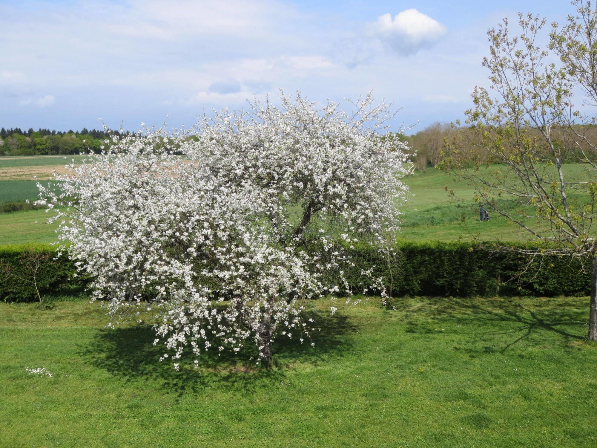 Le Clos Du Golf Dame-Marie-les-Bois Buitenkant foto