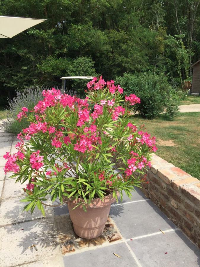 Le Clos Du Golf Dame-Marie-les-Bois Buitenkant foto