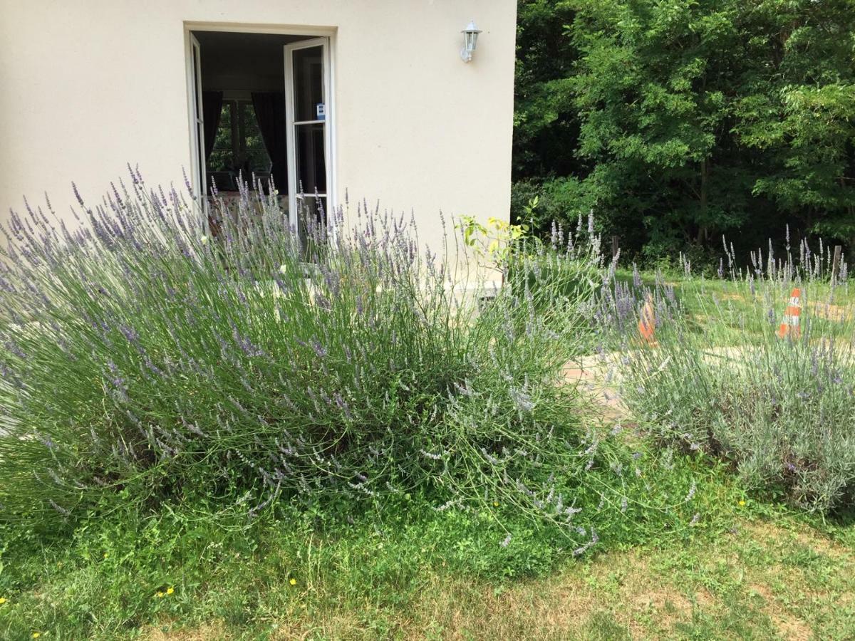 Le Clos Du Golf Dame-Marie-les-Bois Buitenkant foto